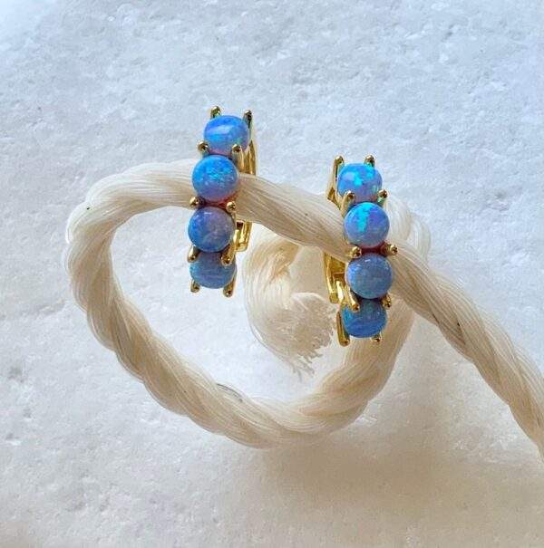 Blue Opal Earrings